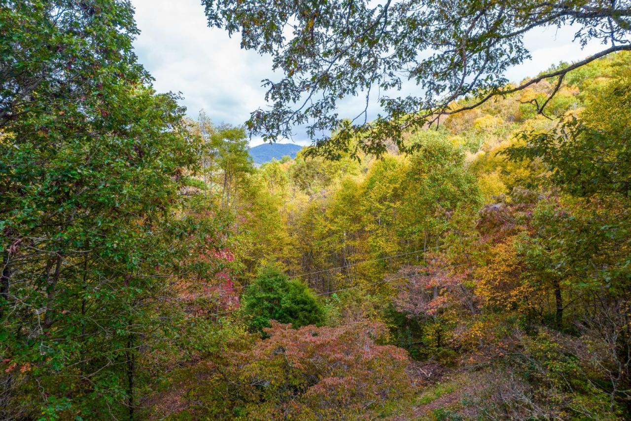 Mountain Top Tranquility Sylva Exterior foto